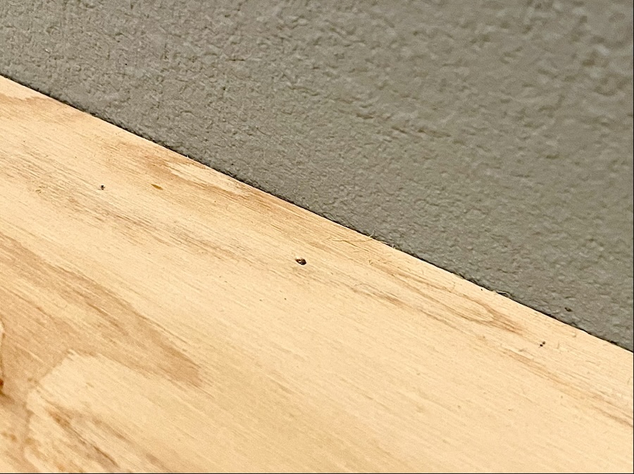 隠し釘を使った仕上げ